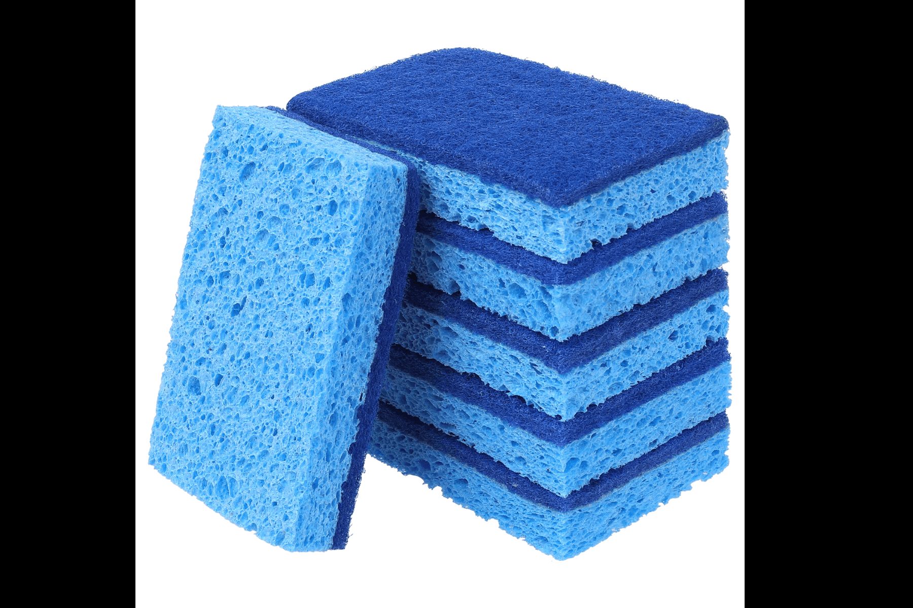 Traditional sponges